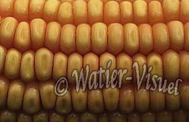 0210203