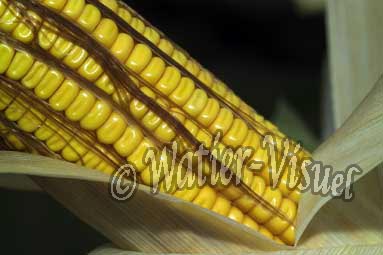 0551D076