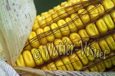 0551D087