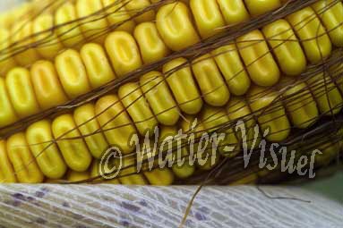 0551D093