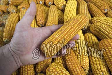 0566D105