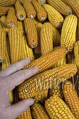 0566D109