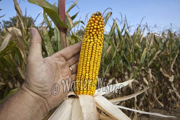 0921D626