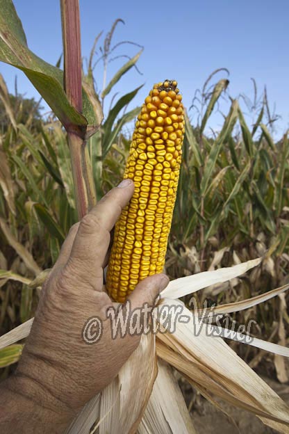 0921D627