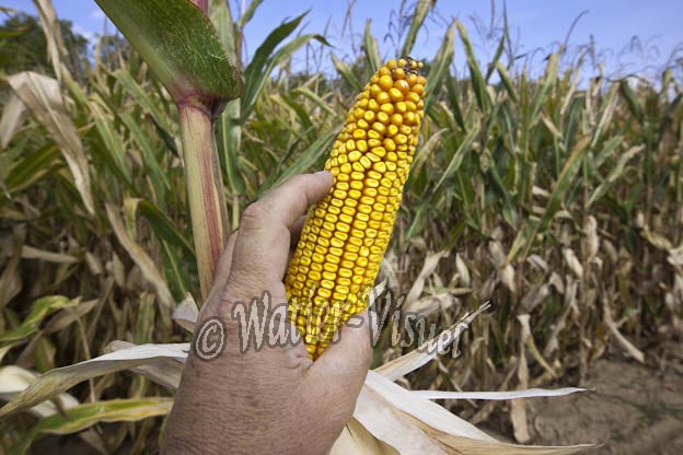 0921D634