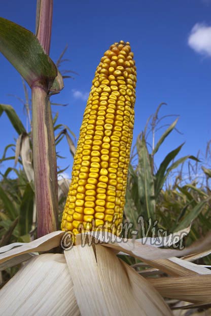 0921D636