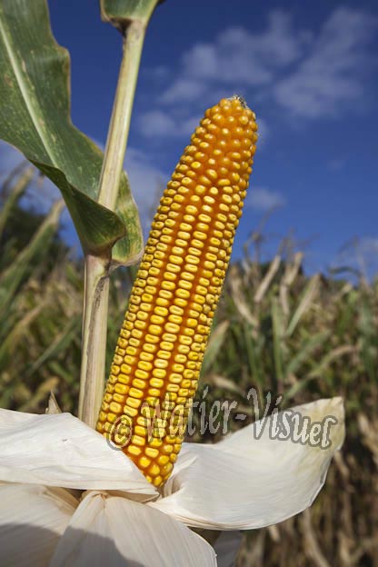 0921D647