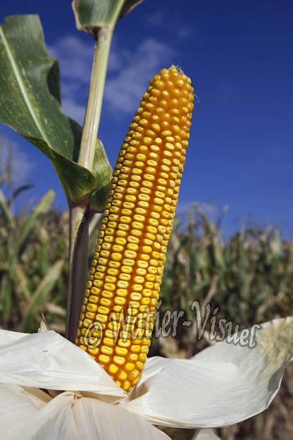 0921D649