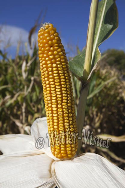 0921D654