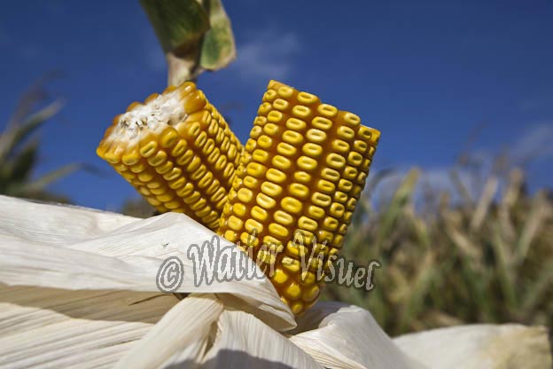 0921D659