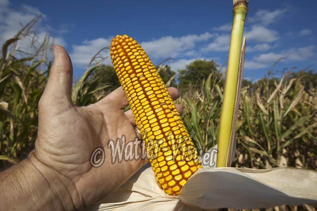 0921D662