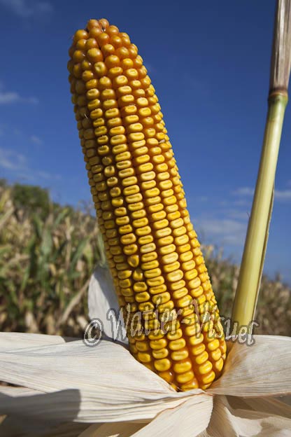 0921D664