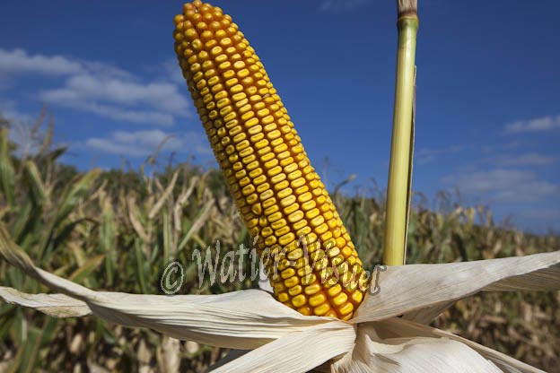 0921D665
