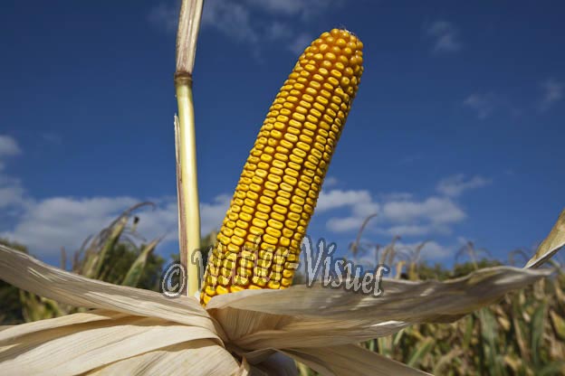 0921D676