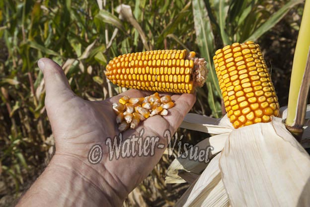 0921D687