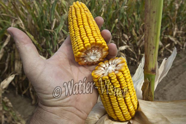 0921D695