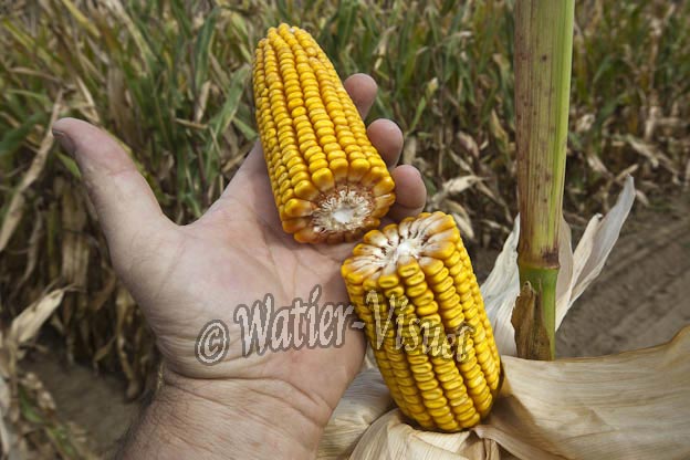 0921D696