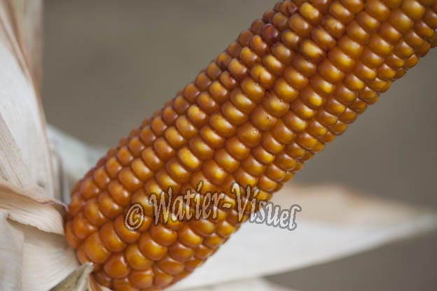0921D713