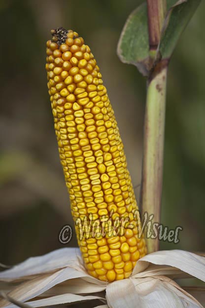 0921D721