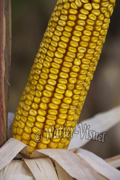 0921D724