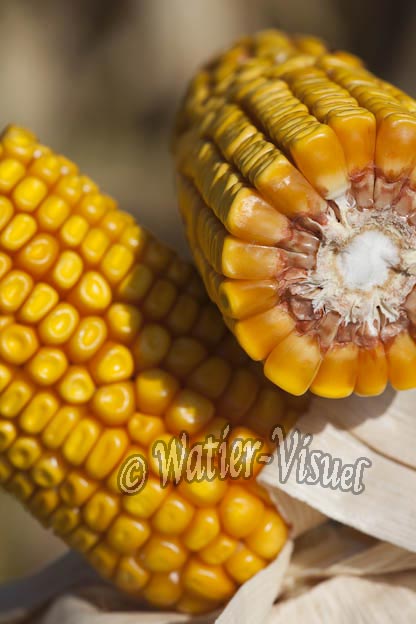 0921D738