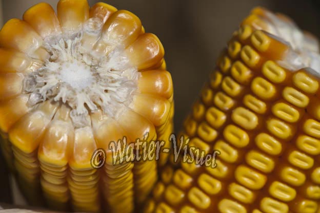 0921D753