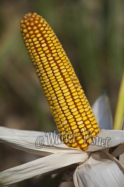 0921D771