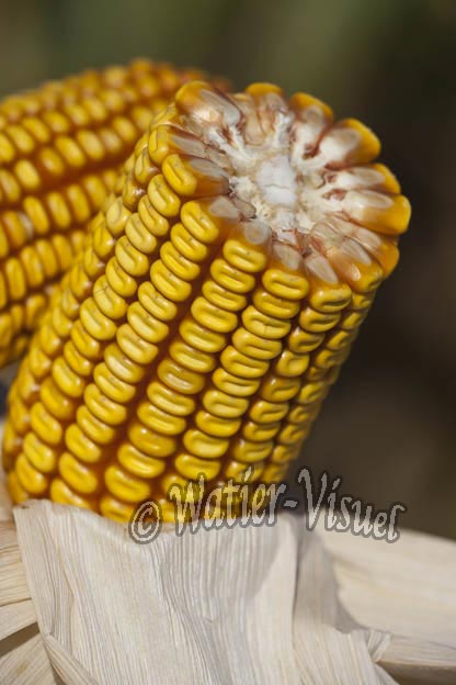 0921D781