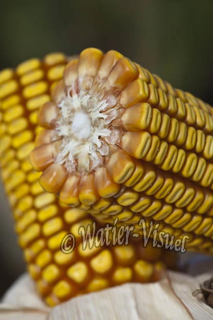 0921D783