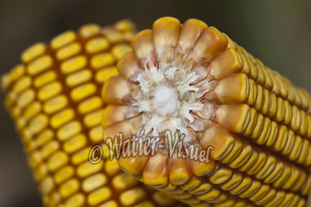 0921D784