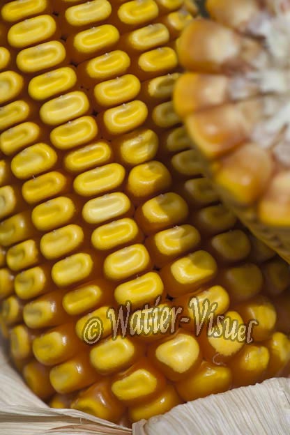 0921D790