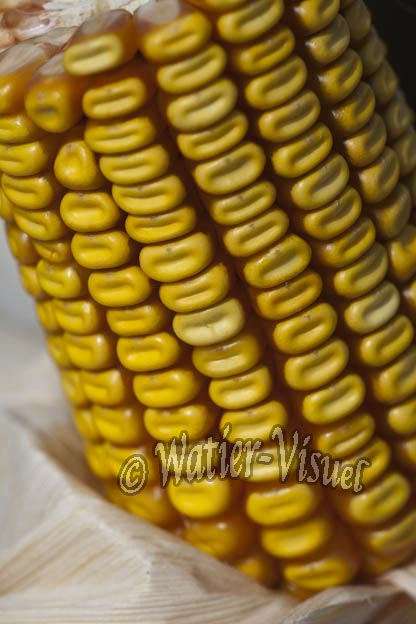 0921D794