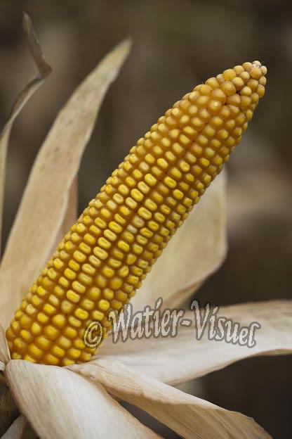 0921D797