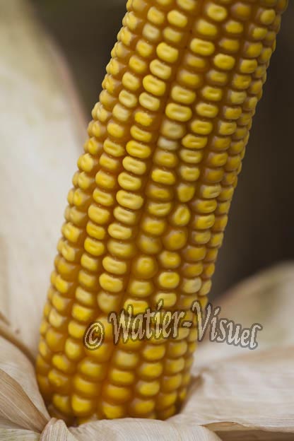 0921D806