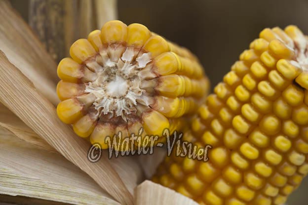 0921D807