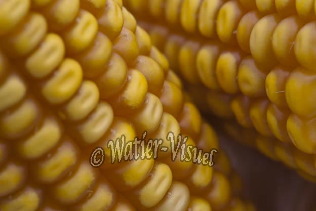 0921D816