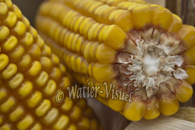 0921D818