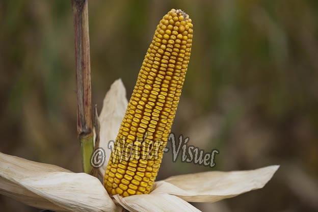 0921D823