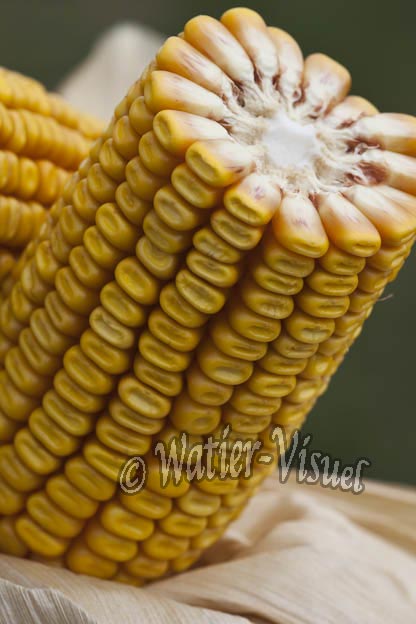 0921D836
