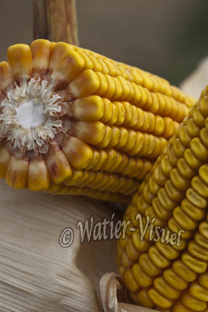 0921D837