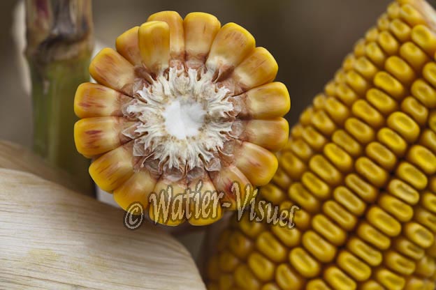 0921D840