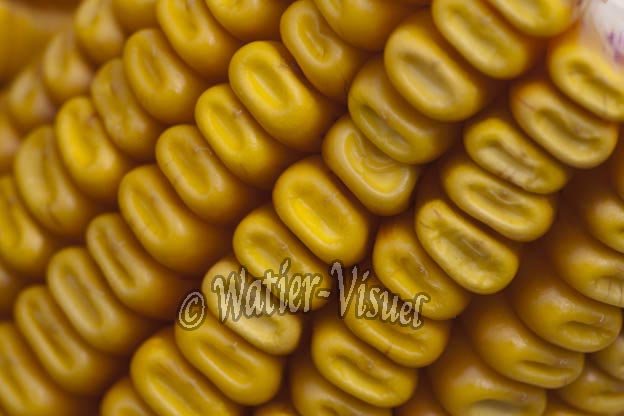 0921D843