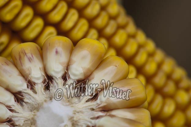 0921D849