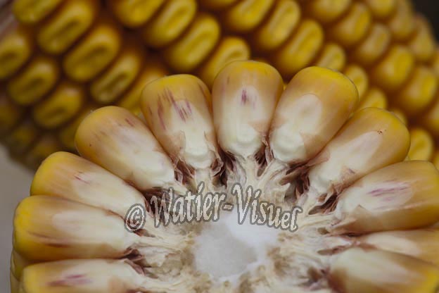 0921D850