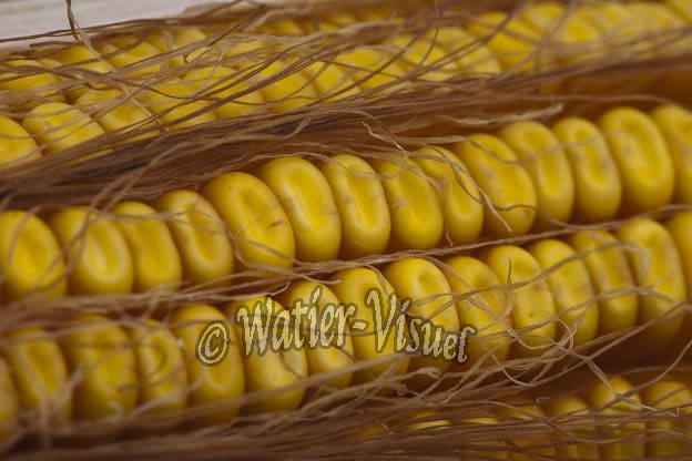 0921D856