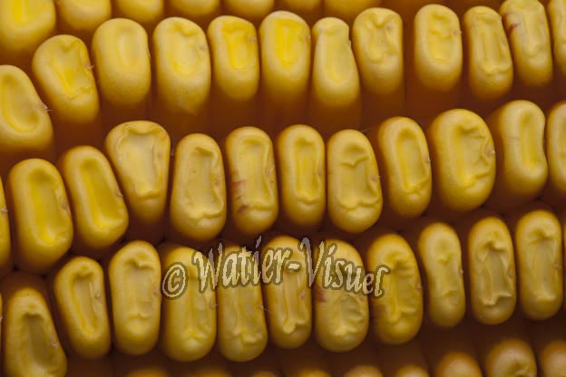 0921D861