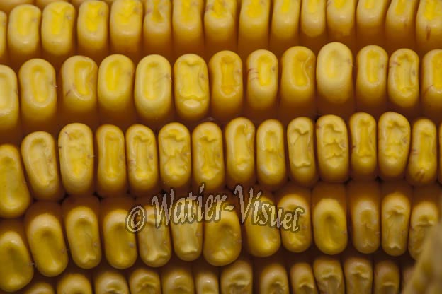 0921D864