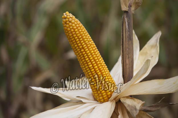 0921D881
