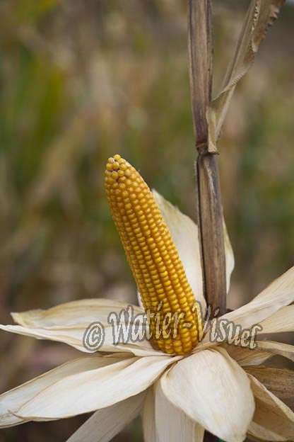 0921D883