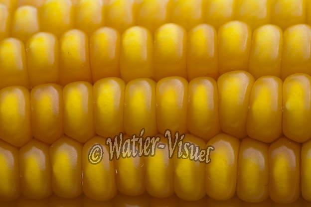 0921D891